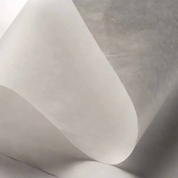 [PAMA10080500] Pliego Papel Mantequilla 24gr (100x80 cm)